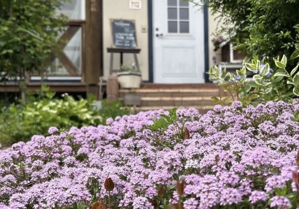 春の花畑が広がるPole Pole店舗の前庭。最新のイベント情報はInstagramで
