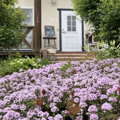 Pole PoleのInstagram投稿：春の花畑前の店舗